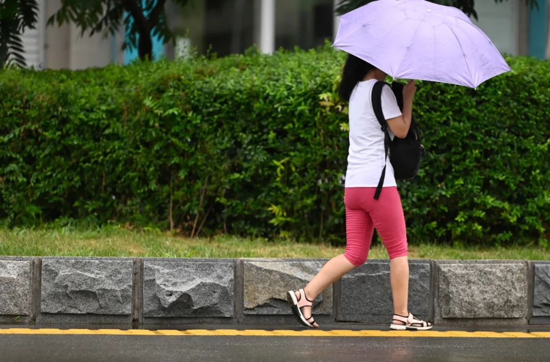 注意!小雨伴有雷电、短时大风、冰雹等强对流天气马上到!沈阳城区主要降水时段为……