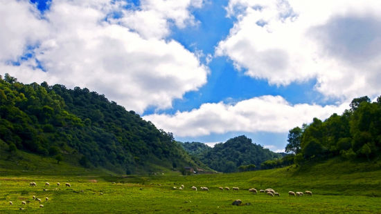 关山牧场(摄影/日月为明)