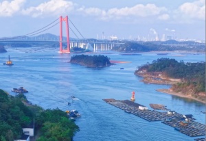 5月16日焦点图