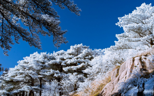 黄山