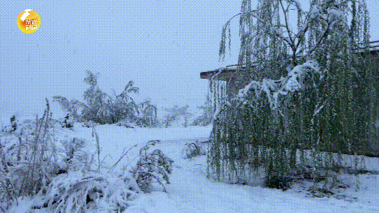 陕西发布最新预报：大雪，局地暴雪！