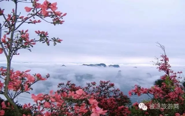 陕西这7个美爆的景区五一免费了!(附出行攻略)