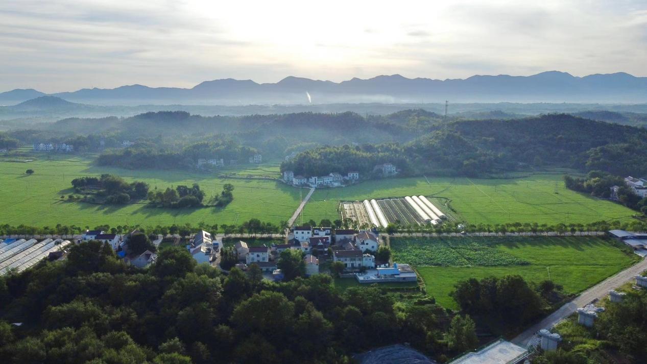 百花村。青阳县委宣传部供图