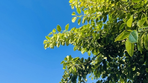 7月30日湖南湖北天气 湖南降雨频繁湖北西部多雨