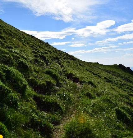 九龙湾高山草甸