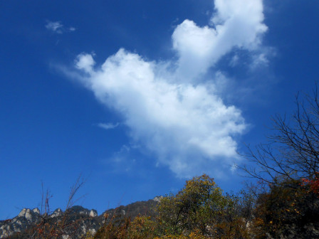 翠华山绚丽秋景