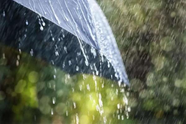 大雨、暴雨！陕西多地最新天气预报……