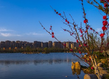 济南2025年是几线城市,最新城市等级划分和排名