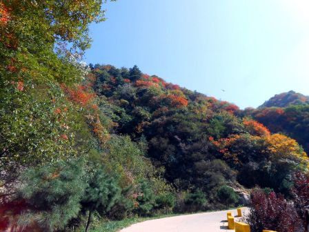 翠华山绚丽秋景