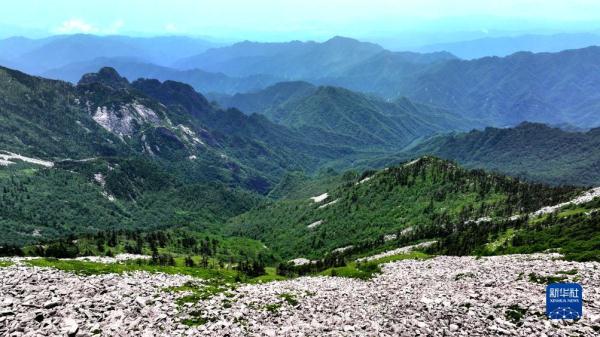 美丽中国丨但看秦岭朱雀景 奇峰险秀乱石颜