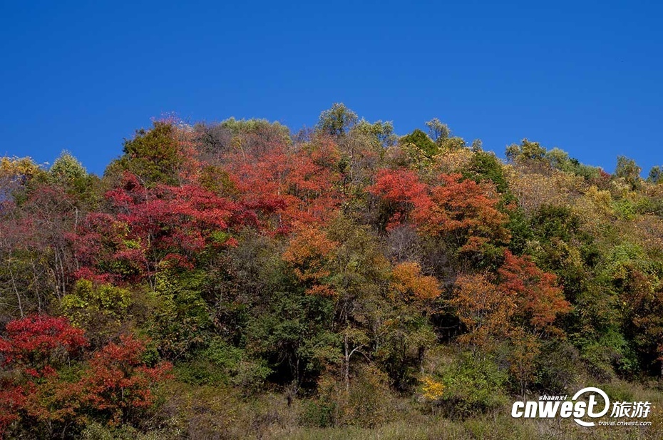 宝鸡市经典游玩线路：去关山牧场感受游牧生活