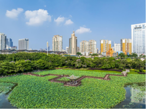 南宁南湖睡莲拍摄指南（速通版）：机位地图+光线密码，收割朋友圈只需这几步