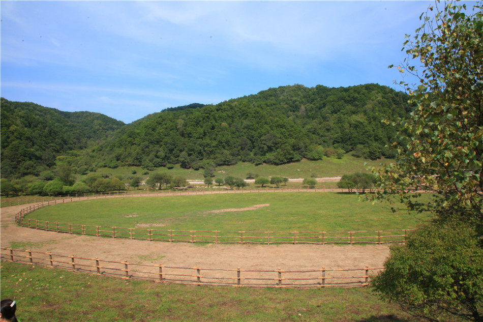 宝鸡大水川：惬意的高山草甸