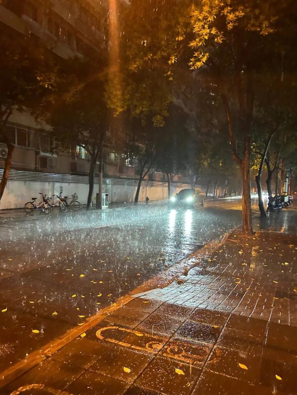 暴雨来袭!上海“两黄一蓝”预警高挂,青浦发布暴雨橙色预警……明日高温依旧→
