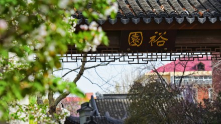 春天的你,喜欢打卡公园吗?