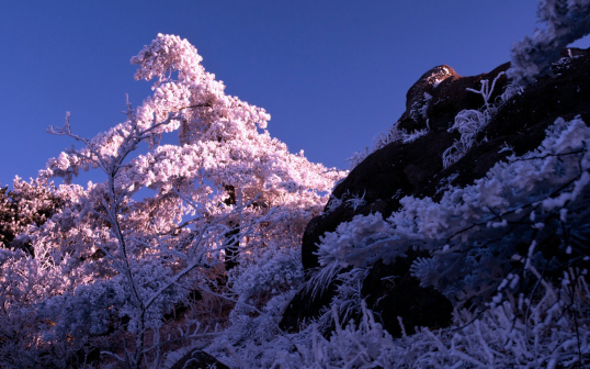 黄山