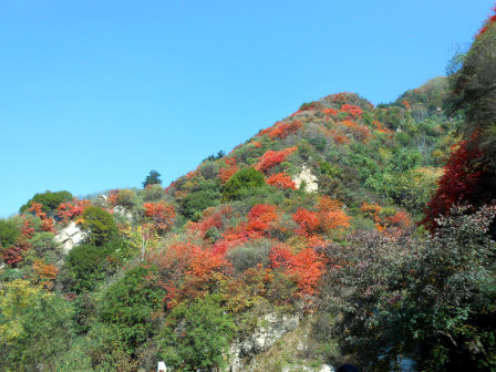 翠华山绚丽秋景