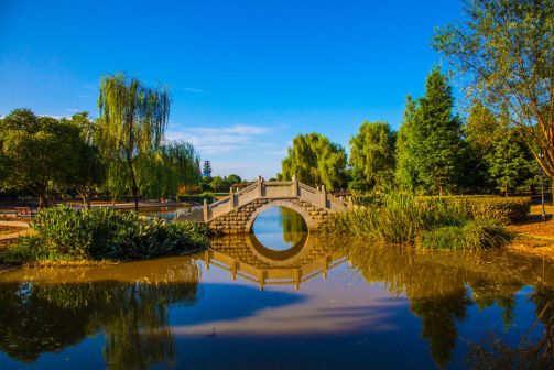 橘子洲风景 实拍