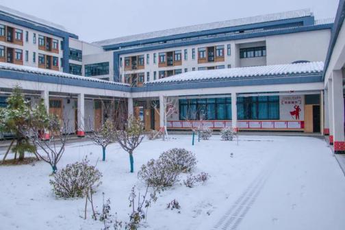 泰山科技学院雪景