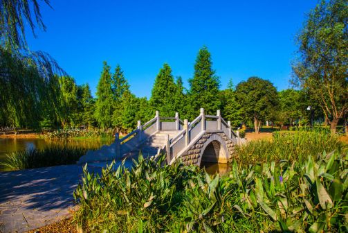 橘子洲风景 实拍