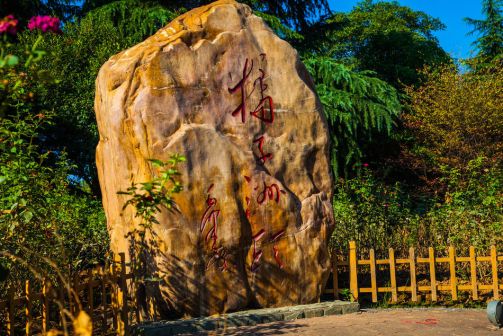 橘子洲风景 实拍