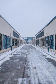 泰山科技学院雪景