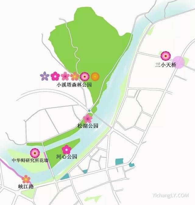 2021春季赏花线路图