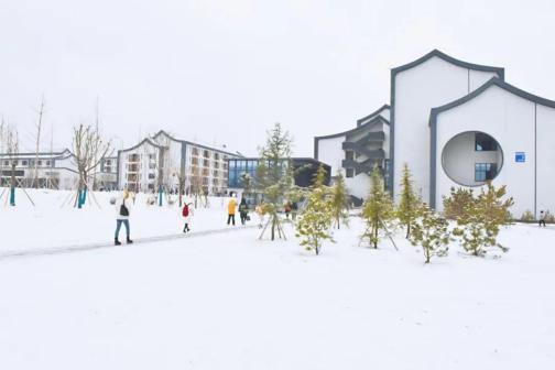 泰山科技学院雪景