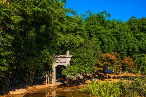 橘子洲风景 实拍