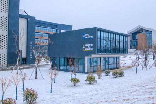 泰山科技学院雪景