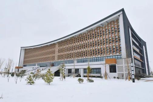 泰山科技学院雪景