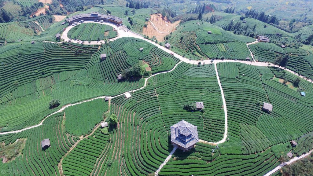 柳州旅游攻略必玩的景点（柳州旅游必去十大景点）