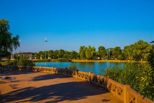 橘子洲风景 实拍