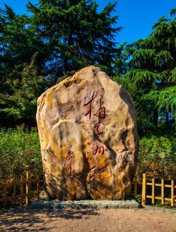 橘子洲风景 实拍