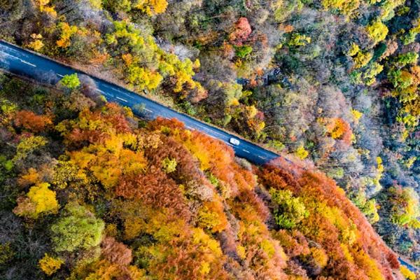 秦岭公路自驾游线路推荐