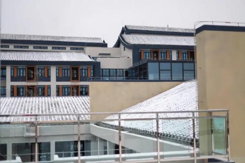 泰山科技学院雪景