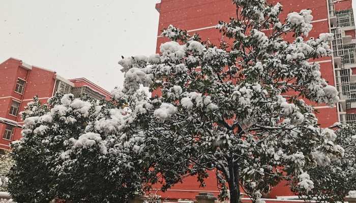 黑色暴雪区出现 河南成为暴雪中心连续5天都下雪